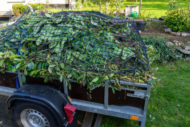 Best Hoarding Cleanup  in Ridgely, TN